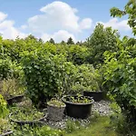 Casa vacanze Tv1673-bindslev-noddevaenget-1 Bindslev