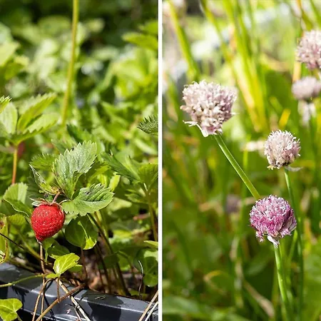 Дом отдыха Tv1673-bindslev-noddevaenget-1