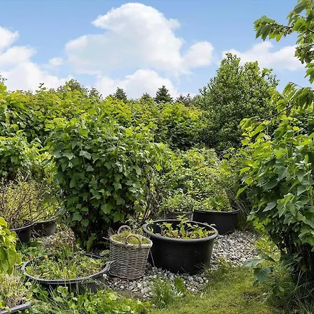 Дом отдыха Tv1673-bindslev-noddevaenget-1 Биндслев